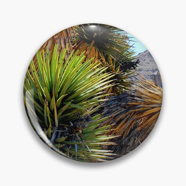 Item preview, Joshua Tree, Mojave Desert Symbol, Southwestern United States designed and sold by AMacGPhilly.