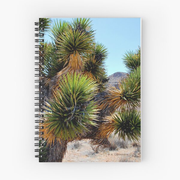 Item preview, Joshua Tree, Mojave Desert Symbol, Southwestern United States designed and sold by AMacGPhilly.
