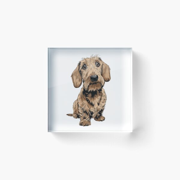 Item preview, Cream Wirehaired Dachshund Dog Illustration designed and sold by whyitsme.