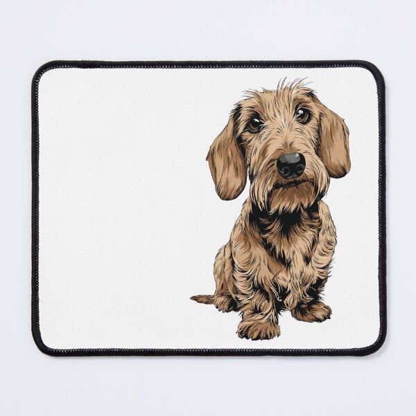 Item preview, Cream Wirehaired Dachshund Dog Illustration designed and sold by whyitsme.