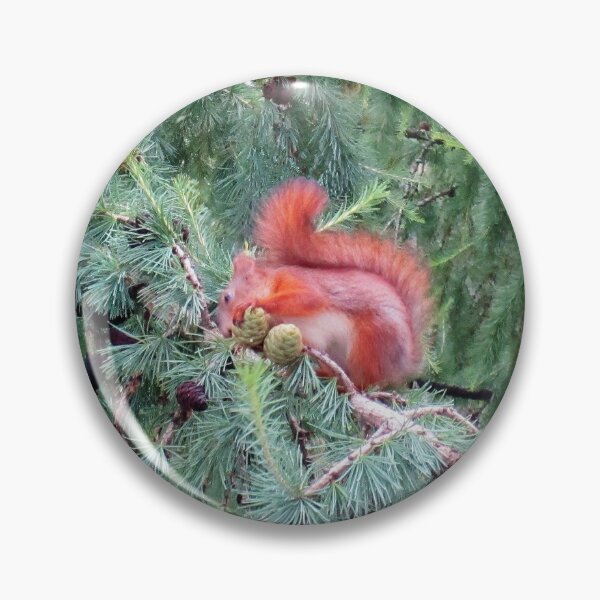 Item preview, Red Squirrel designed and sold by Alexander Krishchyunas.