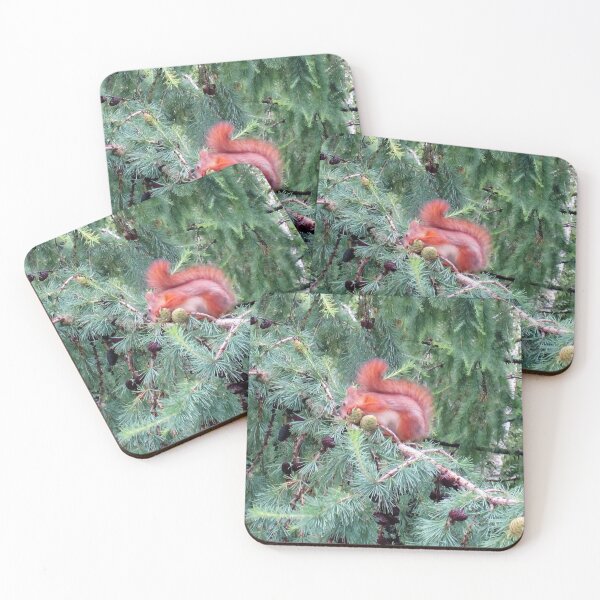 Item preview, Red Squirrel designed and sold by Alexander Krishchyunas.