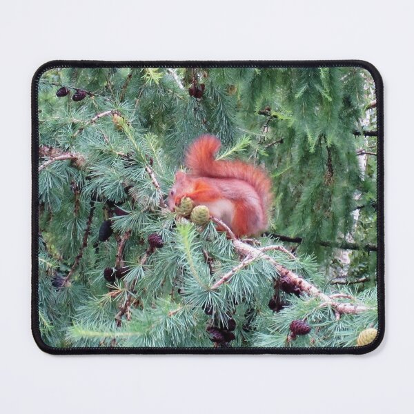 Item preview, Red Squirrel designed and sold by Alexander Krishchyunas.