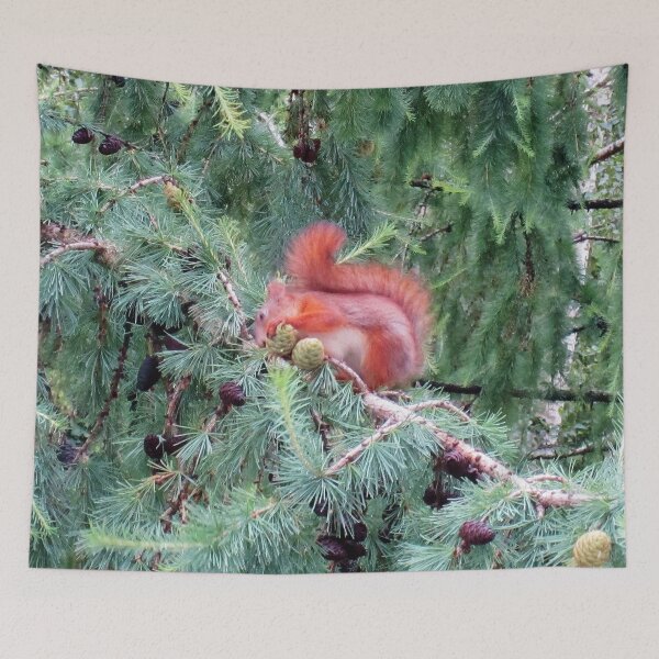 Item preview, Red Squirrel designed and sold by Alexander Krishchyunas.