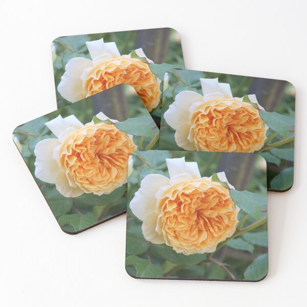 Item preview, A Perfect English Rose designed and sold by cuprum.