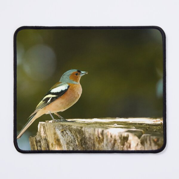 Item preview, A colorful chaffinch bird on a dry stump. designed and sold by NaturePhotography.