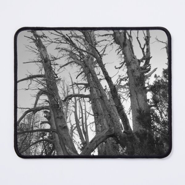 Item preview, Rising Dead designed and sold by Robert Ball.