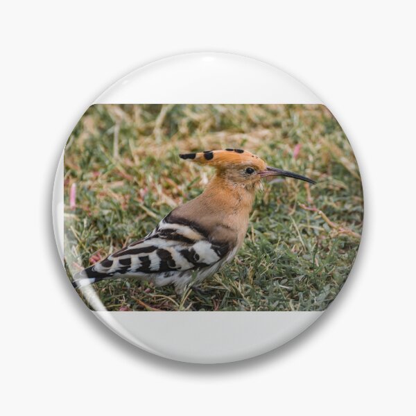 Item preview, Hoopoe designed and sold by XaviFotografia.