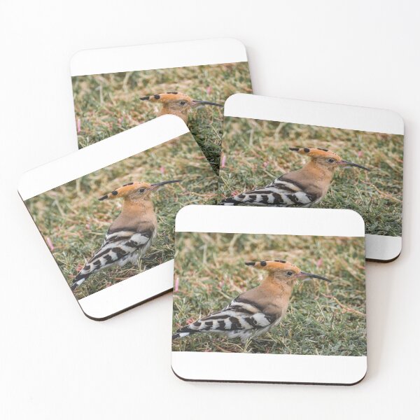 Item preview, Hoopoe designed and sold by XaviFotografia.