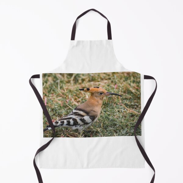 Item preview, Hoopoe designed and sold by XaviFotografia.