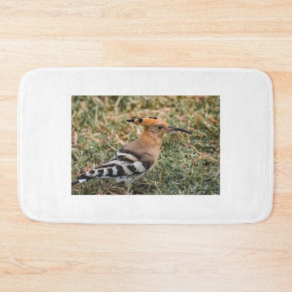 Item preview, Hoopoe designed and sold by XaviFotografia.