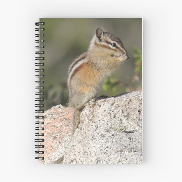 Item preview, Chipmunk Nibbling Away designed and sold by Robert Ball.