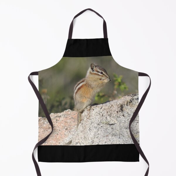 Item preview, Chipmunk Nibbling Away designed and sold by Robert Ball.