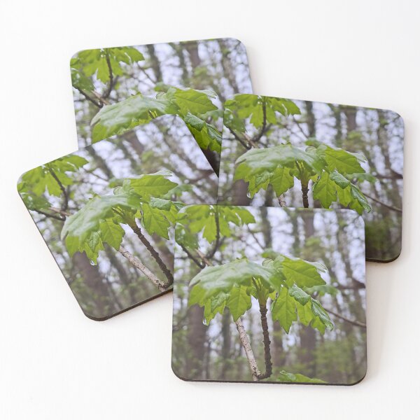 Item preview, Forest Leaves After Rain – Lush Green Nature Photography Art Print from Romania designed and sold by MSMPrintDesign.