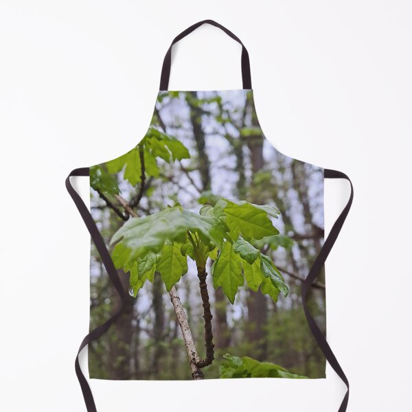 Item preview, Forest Leaves After Rain – Lush Green Nature Photography Art Print from Romania designed and sold by MSMPrintDesign.