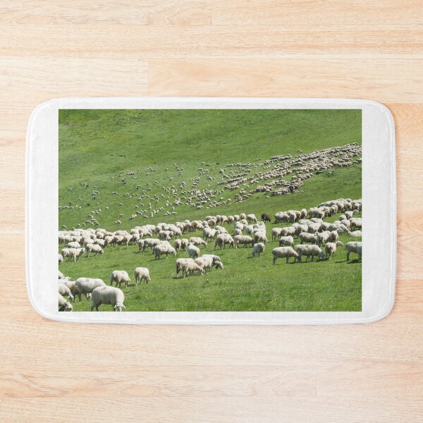 Item preview, Sheep designed and sold by XaviFotografia.