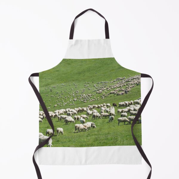 Item preview, Sheep designed and sold by XaviFotografia.