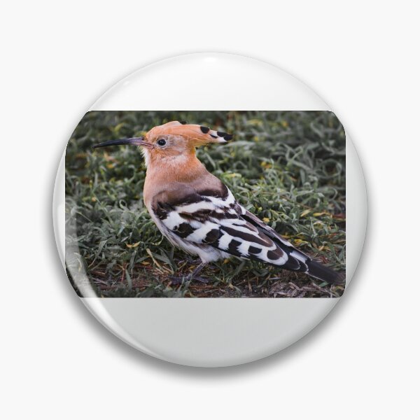 Item preview, Hoopoe II designed and sold by XaviFotografia.