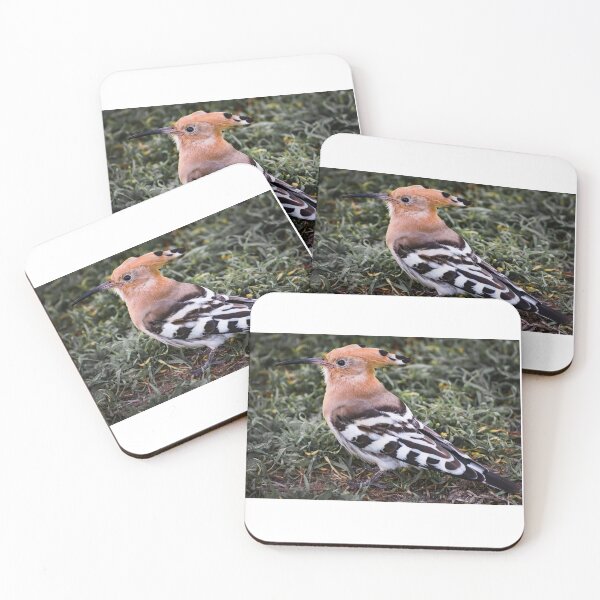 Item preview, Hoopoe II designed and sold by XaviFotografia.