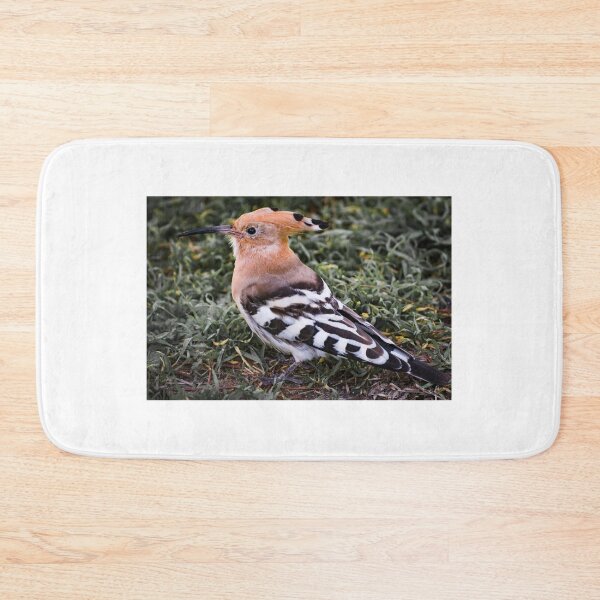 Item preview, Hoopoe II designed and sold by XaviFotografia.