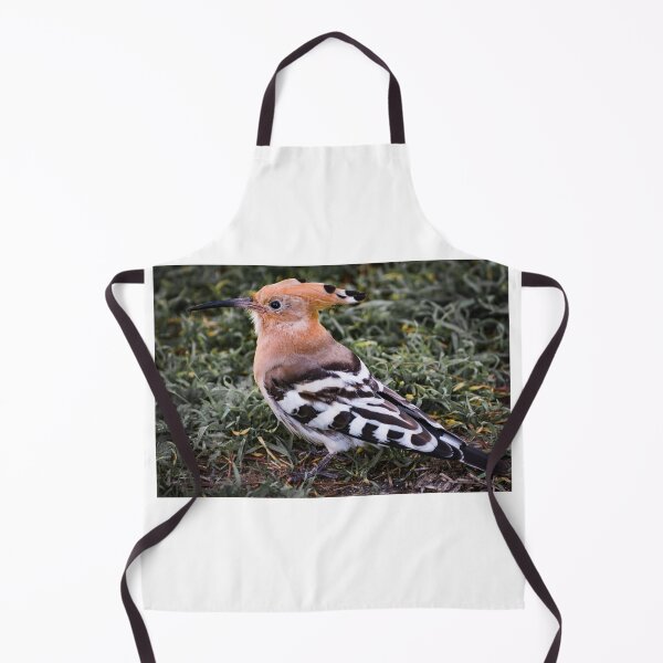 Item preview, Hoopoe II designed and sold by XaviFotografia.