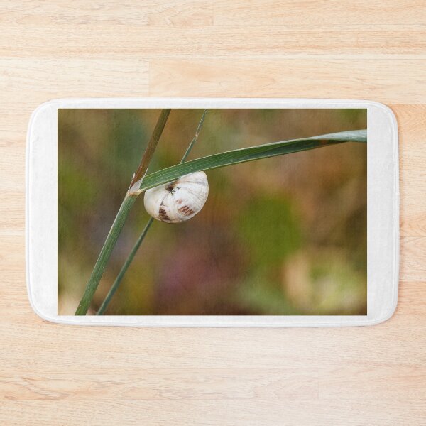 Item preview, White Snail Shell Hanging From Grass Blade in Autumn Meadow Macro Close-Up designed and sold by Nmallia.