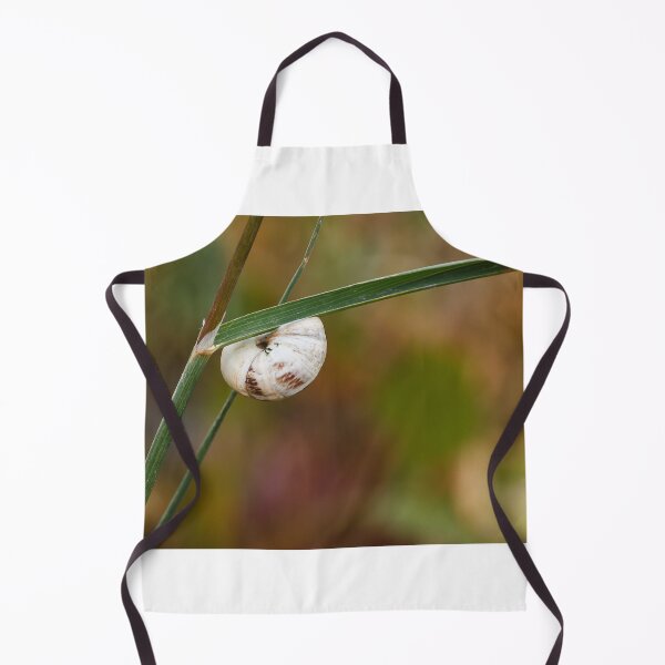 Item preview, White Snail Shell Hanging From Grass Blade in Autumn Meadow Macro Close-Up designed and sold by Nmallia.