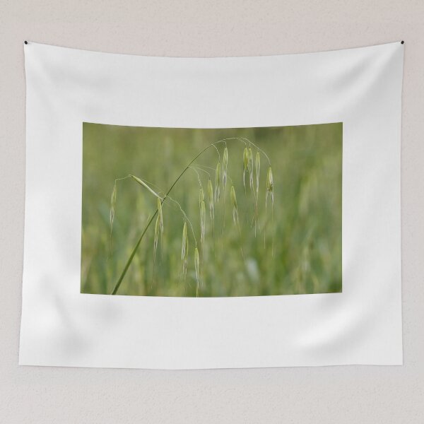 Item preview, Wild Oats Grass Seed Heads in Green Meadow Close-Up With Delicate Drooping Spikelets designed and sold by Nmallia.