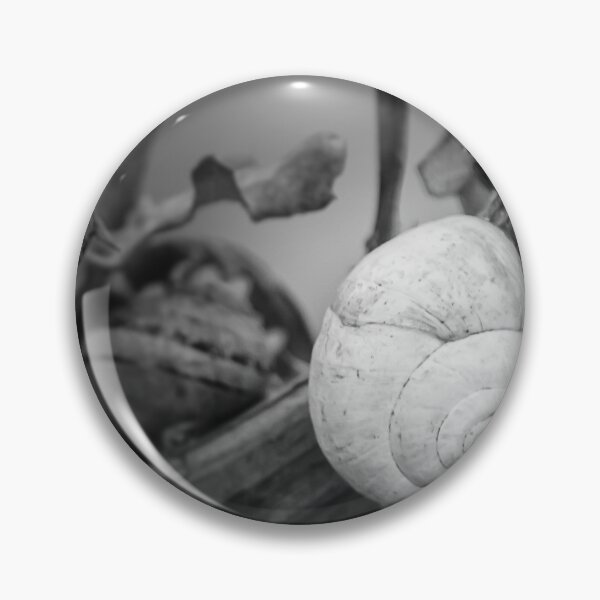 Item preview, White Snail Shell on Dried Plant Close-Up in Black and White Macro Nature Study designed and sold by Nmallia.