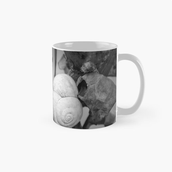 Item preview, White Snail Shell on Dried Plant Close-Up in Black and White Macro Nature Study designed and sold by Nmallia.