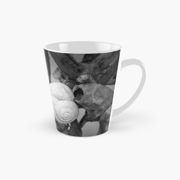 Item preview, White Snail Shell on Dried Plant Close-Up in Black and White Macro Nature Study designed and sold by Nmallia.