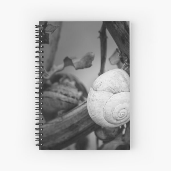 Item preview, White Snail Shell on Dried Plant Close-Up in Black and White Macro Nature Study designed and sold by Nmallia.