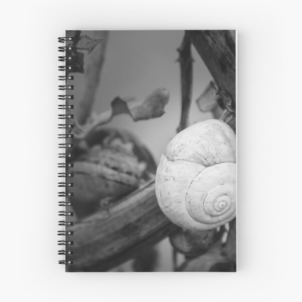 Item preview, White Snail Shell on Dried Plant Close-Up in Black and White Macro Nature Study designed and sold by Nmallia.