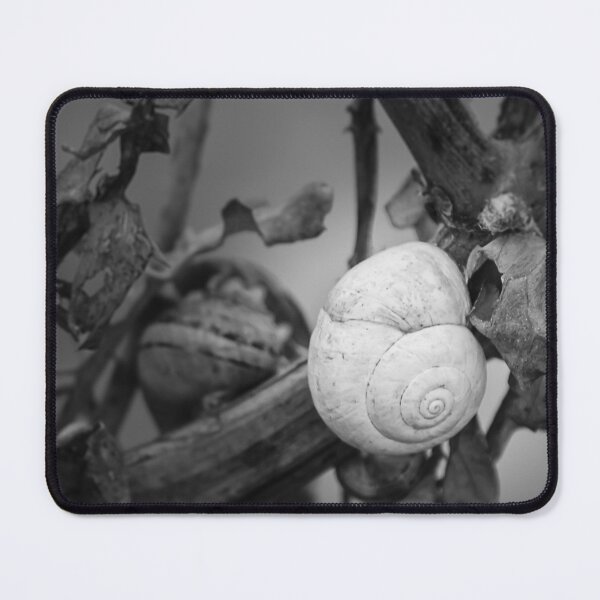 Item preview, White Snail Shell on Dried Plant Close-Up in Black and White Macro Nature Study designed and sold by Nmallia.
