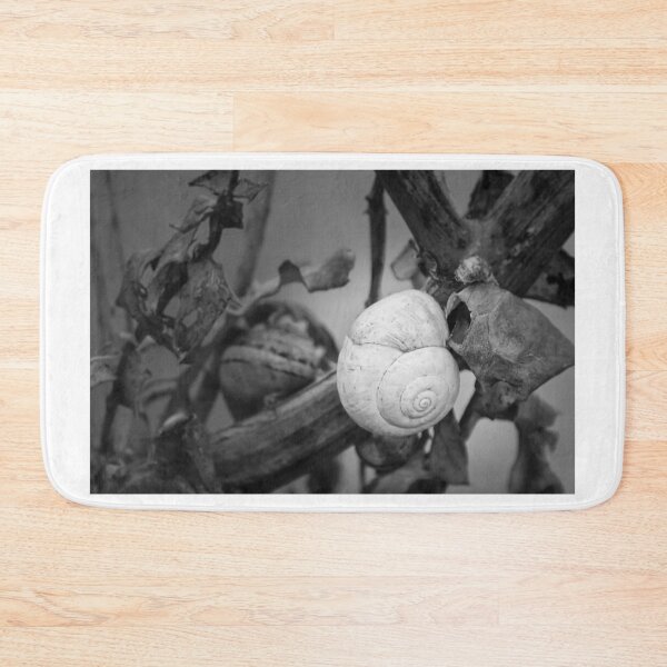 Item preview, White Snail Shell on Dried Plant Close-Up in Black and White Macro Nature Study designed and sold by Nmallia.
