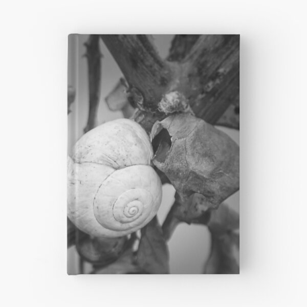 Item preview, White Snail Shell on Dried Plant Close-Up in Black and White Macro Nature Study designed and sold by Nmallia.