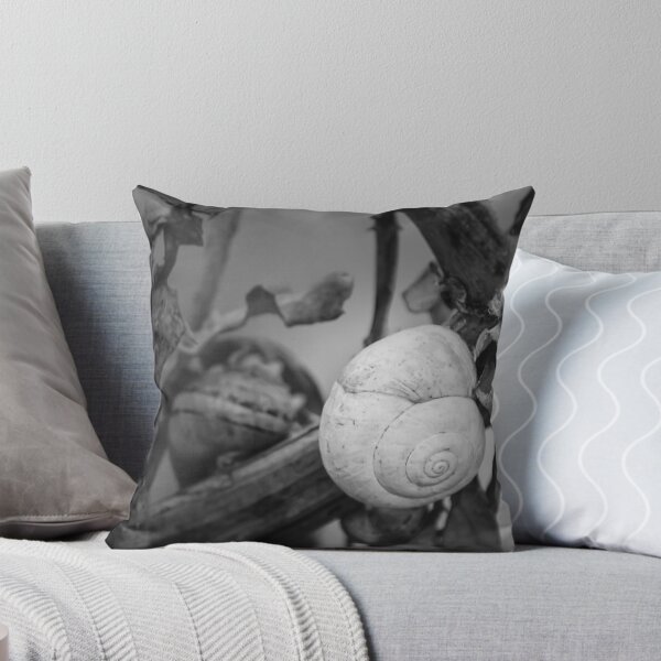 Item preview, White Snail Shell on Dried Plant Close-Up in Black and White Macro Nature Study designed and sold by Nmallia.