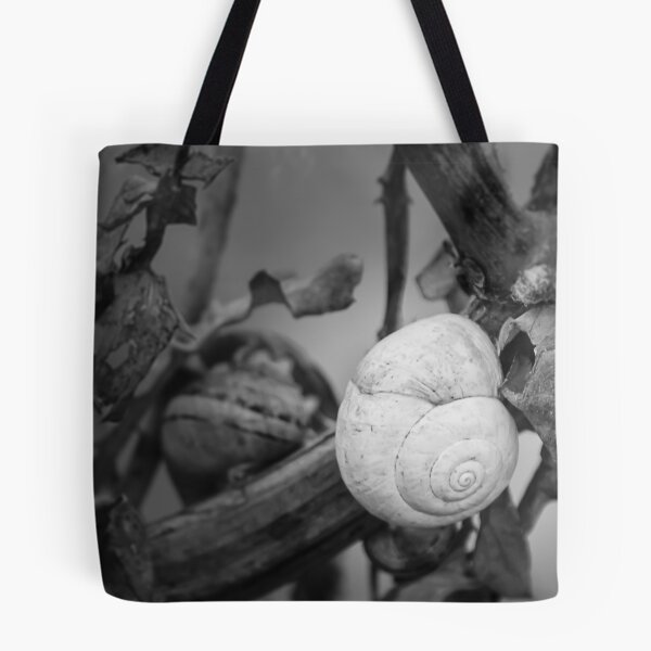 Item preview, White Snail Shell on Dried Plant Close-Up in Black and White Macro Nature Study designed and sold by Nmallia.