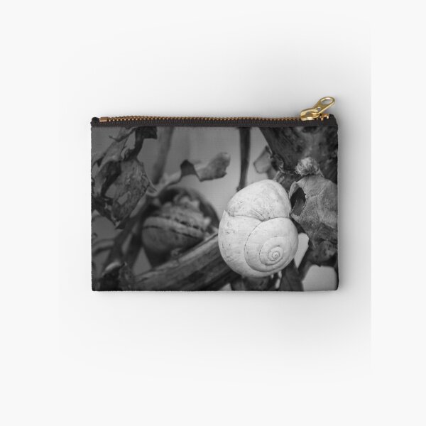 Item preview, White Snail Shell on Dried Plant Close-Up in Black and White Macro Nature Study designed and sold by Nmallia.