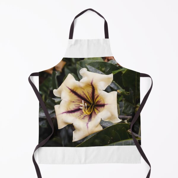 Item preview, Close-Up Of Yellow Chalice Vine Flower With Purple Veins In A Tropical Garden designed and sold by Nmallia.