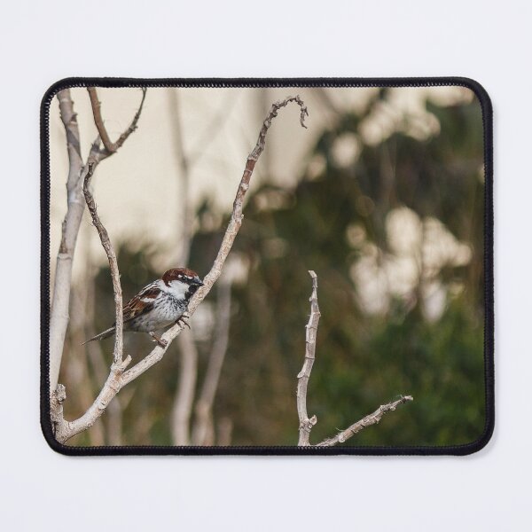 Item preview, Tree Sparrow Perched on Dry Branches With Blurred Green Background, Bird Wildlife Close-Up designed and sold by Nmallia.