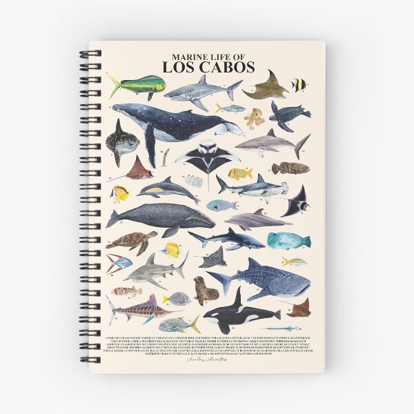 Item preview, MARINE LIFE OF LOS CABOS text (beige) designed and sold by BEATRIZ ABAITUA.