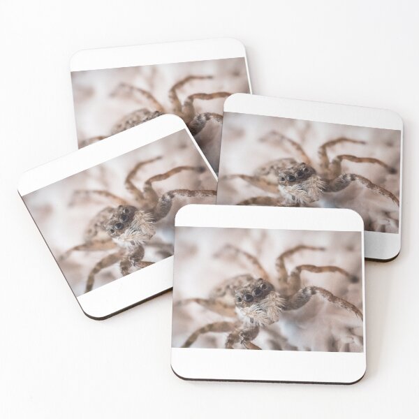 Item preview, Spider  designed and sold by XaviFotografia.