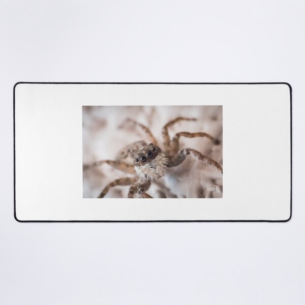 Item preview, Spider designed and sold by XaviFotografia.