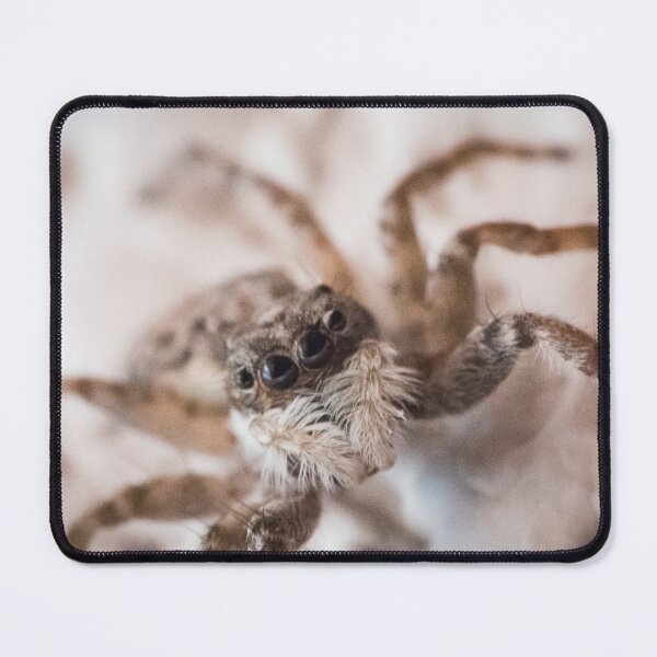Item preview, Spider designed and sold by XaviFotografia.