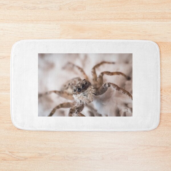 Item preview, Spider  designed and sold by XaviFotografia.