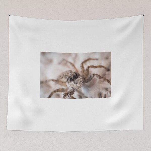 Item preview, Spider  designed and sold by XaviFotografia.