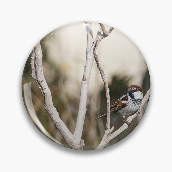 Item preview, Tree Sparrow Perched on Dry Branches With Blurred Green Background, Bird Wildlife Close-Up designed and sold by Nmallia.