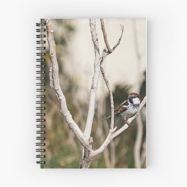 Item preview, Tree Sparrow Perched on Dry Branches With Blurred Green Background, Bird Wildlife Close-Up designed and sold by Nmallia.