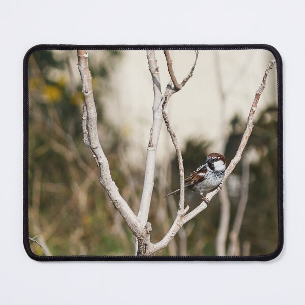 Item preview, Tree Sparrow Perched on Dry Branches With Blurred Green Background, Bird Wildlife Close-Up designed and sold by Nmallia.
